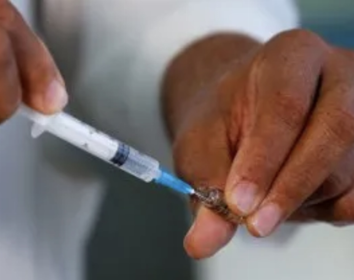 Confirman la llegada de la vacuna contra el dengue: cuándo y a cuánto estará disponible
