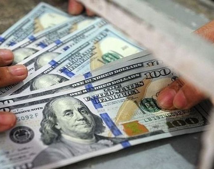 Aseguran que en 8 meses, la compra de dólares cayó casi un 100%