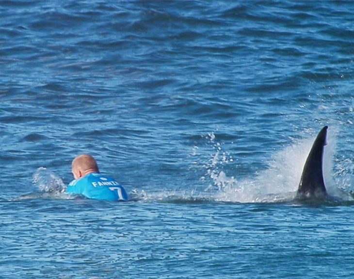 Un surfista murió por el ataque de un tiburón blanco en una playa de California