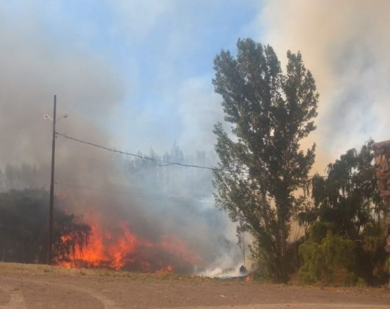 Por el fuerte viento un incendio devoró un conocido Anfiteatro 