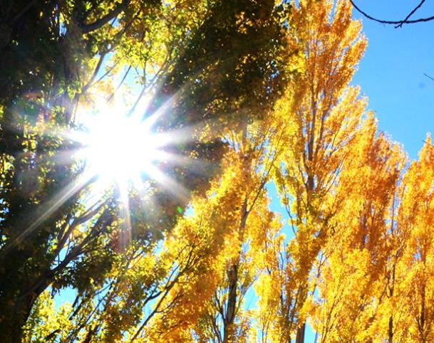 ¡El sol será protagonista en un sábado con 20 grados de máxima!