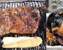 Un hombre mató de tres disparos a su perro porque le comió el matambre de la parrilla