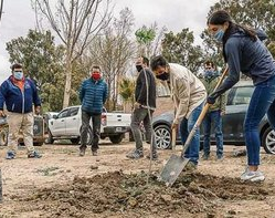 Por la sequía reforestarán la provincia con nuevas especies arbóreas 
