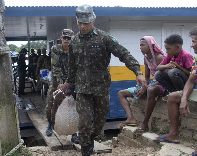 Encontraron restos humanos donde desaparecieron un periodista y un indigenista en Brasil