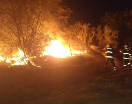 Un gran incendio devoró pastizales en Pocito