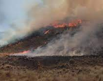 El fuego avanzó en Valle Fértil y piden un helicóptero hidrante