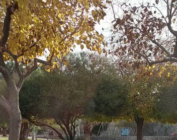 Para pasar el frío, una pareja intercambió mimos en una plaza de Capital y son virales