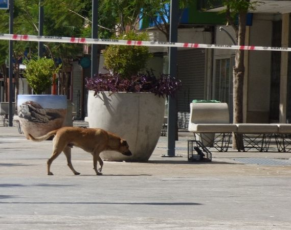 Se incendió un área subterránea de la peatonal y provocó un gran susto