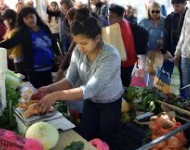 El Camión de Frutas y Verduras visitará Albardón