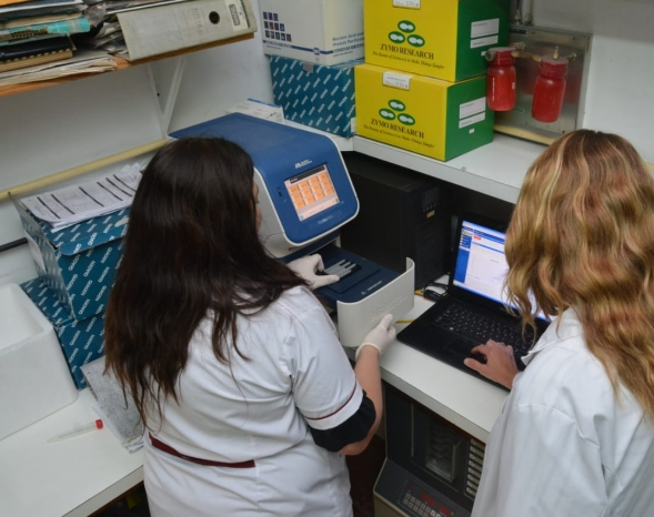 En San Juan falleció una persona y hubo 150 casos de Covid en 24 horas
