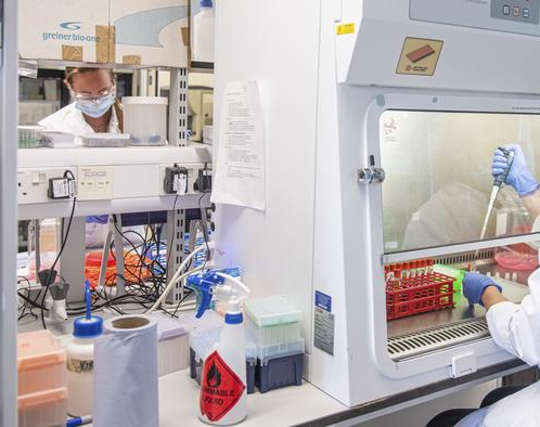 Estudian combinar dos vacunas contra el COVID 