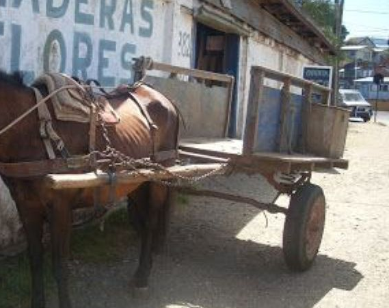 Son hermanos y a bordo de una carretela, huyeron con $200 Mil en una mamadera