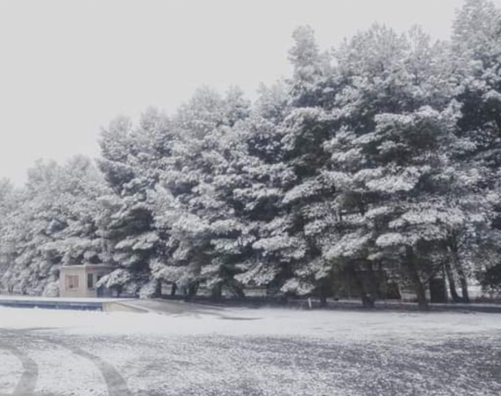 ¡Mirá la belleza del valle de Pedernal bajo la nieve sanjuanina!
