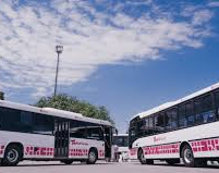 Se levantó el paro de colectivos previsto para esta semana