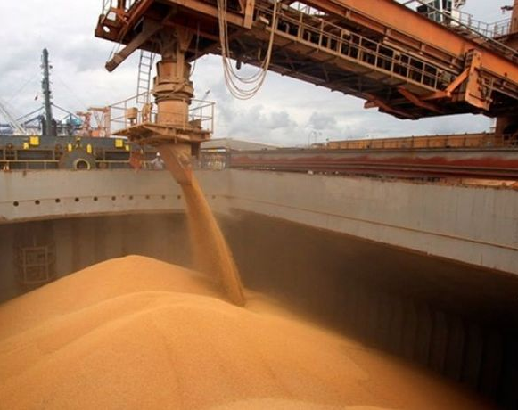 Le facilitaron al campo las operaciones en dólares para que exporten la soja