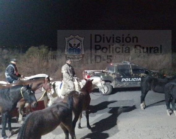 En San Martín arriaron 10 caballos sueltos en la ruta para evitar accidentes