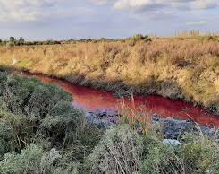 Los vecinos de Sarmiento asustados por un desagüe que se tiñó de color rojo