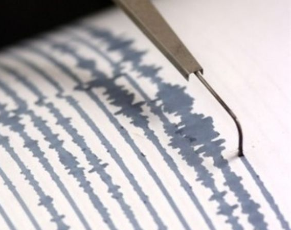 Un sismo puso en alerta a Valle Fértil