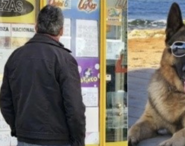 El mejor amigo del hombre: un apostador se volvió millonario gracias al instinto de su perro