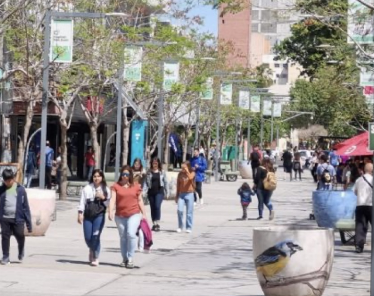 El comercio de San Juan disminuyó un 14% sus ventas en enero 