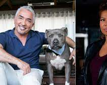 Denunciaron al "encantador de perros" porque su Pitbull mató al de una famosa