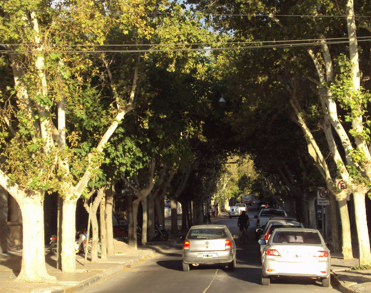 Mirá cómo estará el tiempo en San Juan este finde