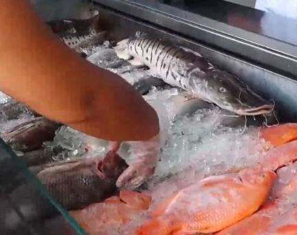 Sanjuaninos en busca de pescado: hicieron fila desde las 6 de la mañana 