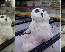En Jáchal cayó tanta nieve que hasta hicieron muñecos sobre los autos