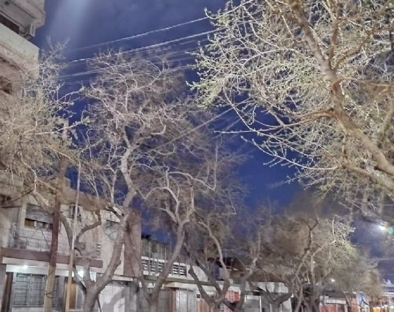 ¡La ropa, destiendan la ropa! Llega el viento sur con toda su furia