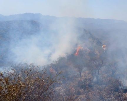 Contuvieron los incendios en Valle Fértil y solo resta la "guardia de cenizas"