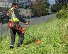 Tucumán se rebela contra los jardineros que se abusan con los precios