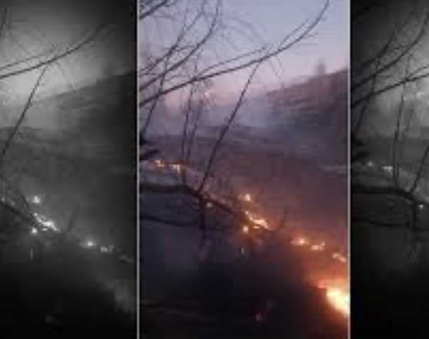 Se quemaron más de 500 metros en un incendio en el parque El Leoncito