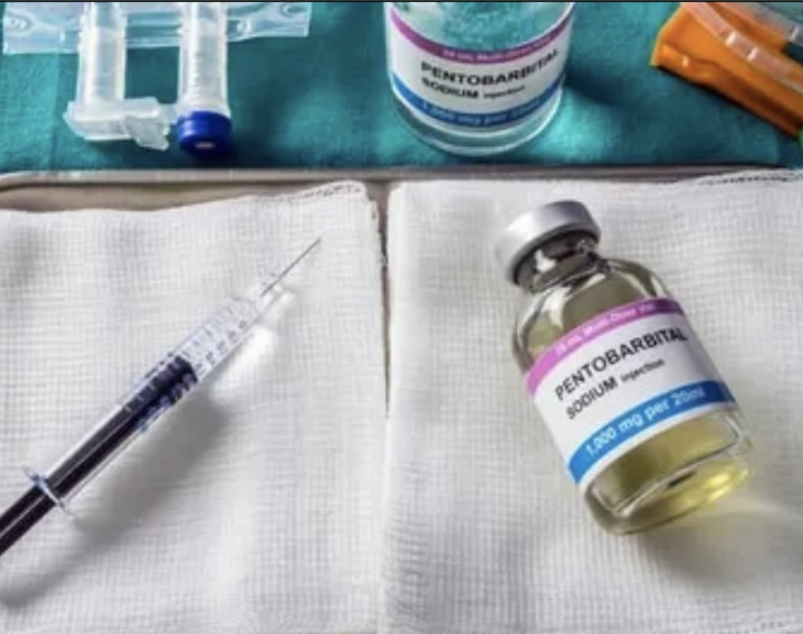 Desde este domingo entra en vigor la pena de muerte para los pedófilos en Florida