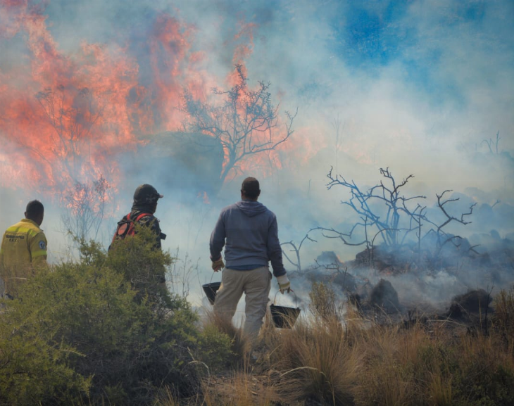 Aseguran que más de 200 bomberos de Cuyo combaten el fuego en Valle Fértil