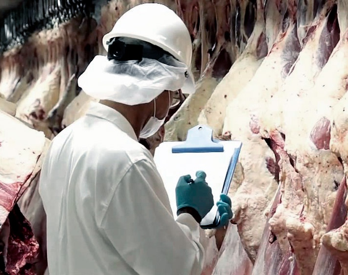 Kulfas confirmó que la semana que viene se reabre la exportación de carne