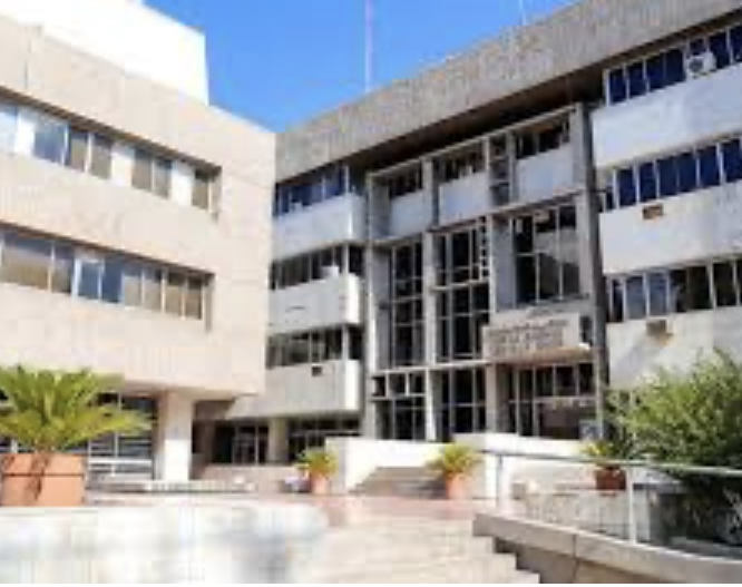 Capital anunció que no renovará 219 contratos 