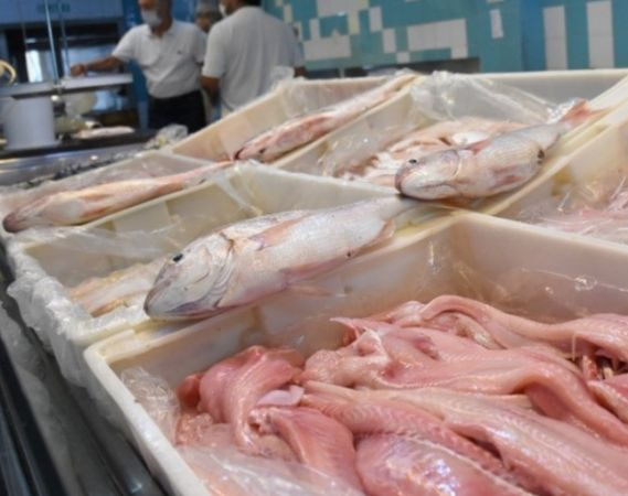 ¿Querés comer pescado para Semana Santa? Fijáte que pescaderías tendrán buen precio en San Juan