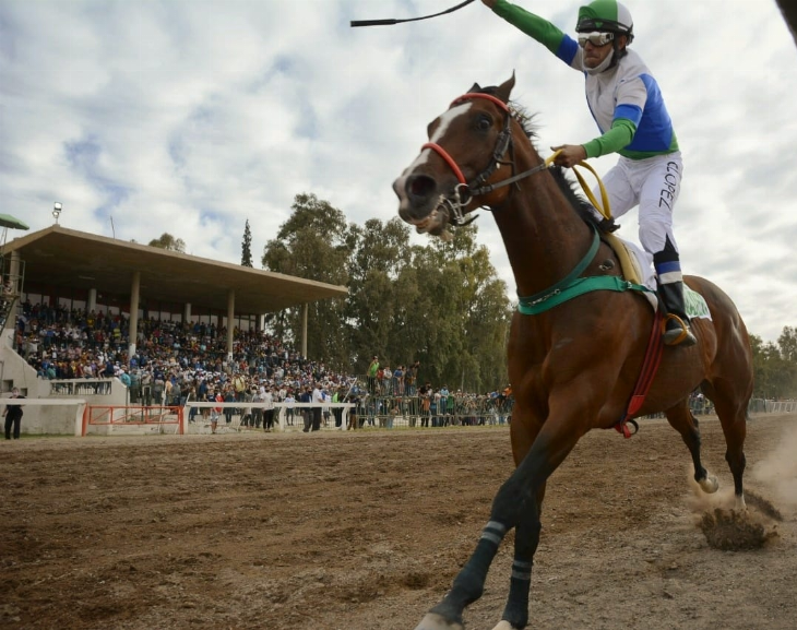 Un caballo mendocino fue el ganador del premio Domingo Faustino Sarmiento 