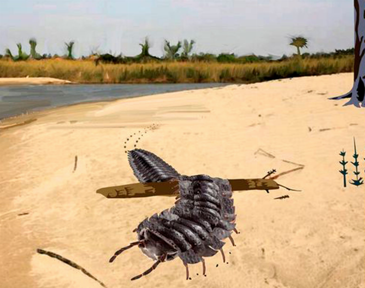 Encontraron fósiles de un cienpiés gigantezco en una playa británica