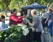 Septiembre comienza con una nueva edición de la Feria Agroproductiva