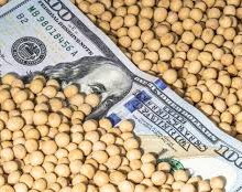 En la primera semana del dólar soja, las reservas subieron casi US$ 870 millones