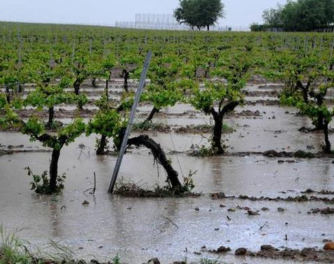 Noche pasada por agua: estos son los departamentos donde rige alerta por fuertes lluvias