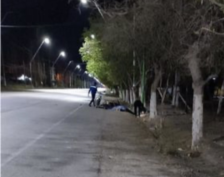 Un motociclista murió luego de impactar contra un árbol 