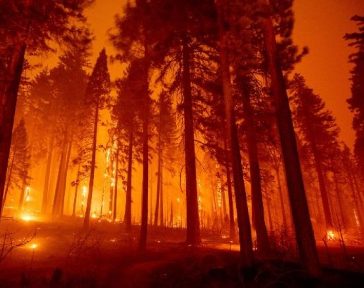 Declararon la emergencia y desastre agropecuario en Corrientes