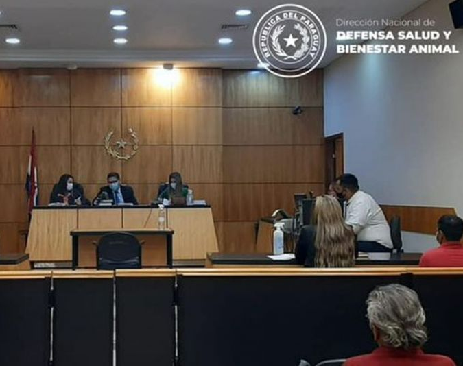 Retomaron las audiencias del caso del hombre que violó a una gallina