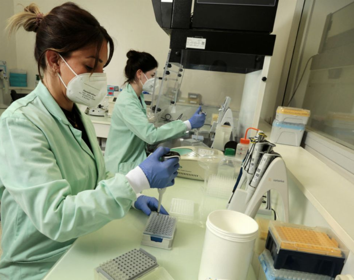 Detectan una nueva mutación de la variante Ómicron de coronavirus en Suecia