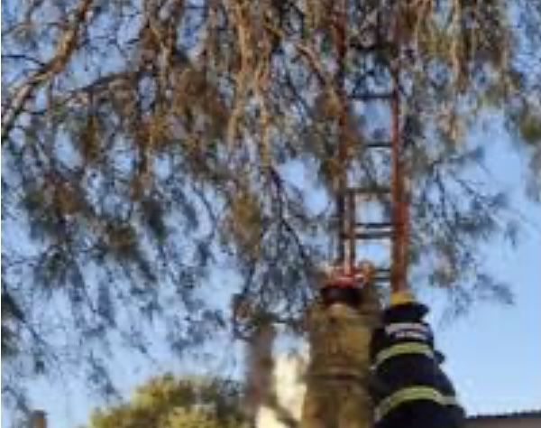 Tragedia en Córdoba: un bebé de 10 meses y un hombre murieron al explotar un pozo negro