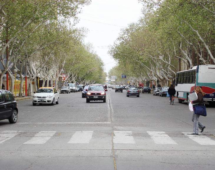 Se bajó del auto y en cuestión de segundos se lo robaron 
