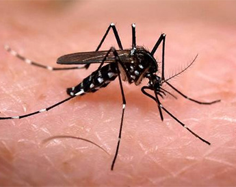 San Juan tiene un tercer caso importado de dengue