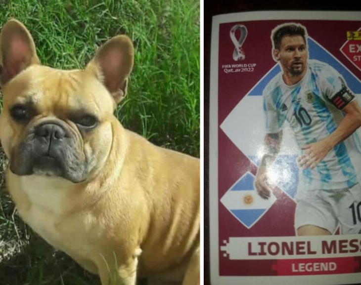 Todo por su perro: un nene ofrece la figurita de Messi por su mascota